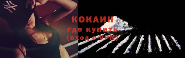 стаф Каменногорск