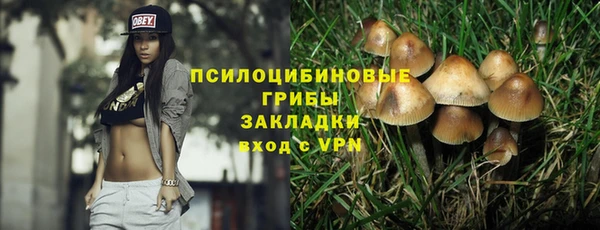 ALPHA PVP Инта